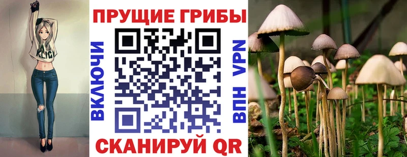 Галлюциногенные грибы ЛСД  Коломна 